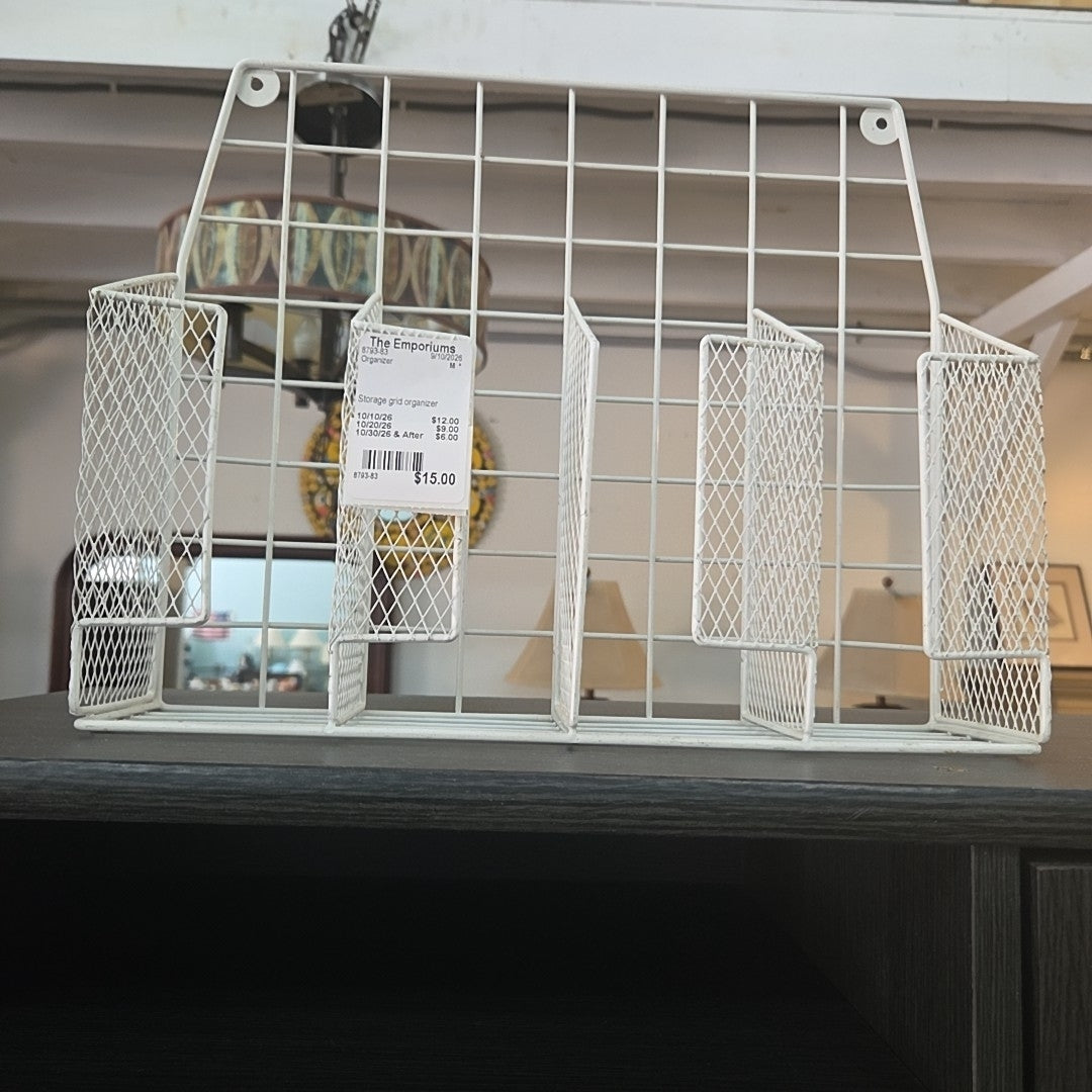 Storage grid organizer
