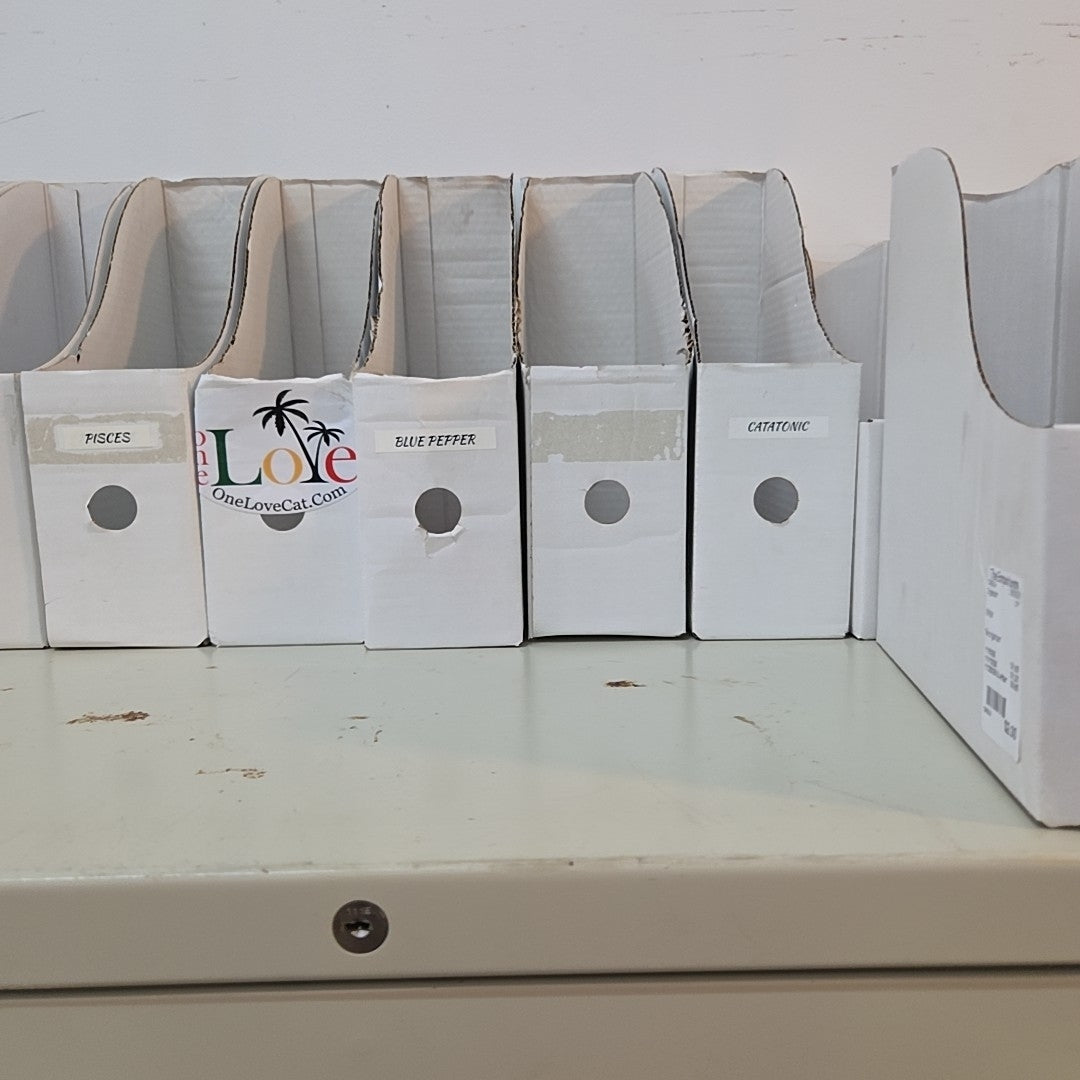 file organizer
