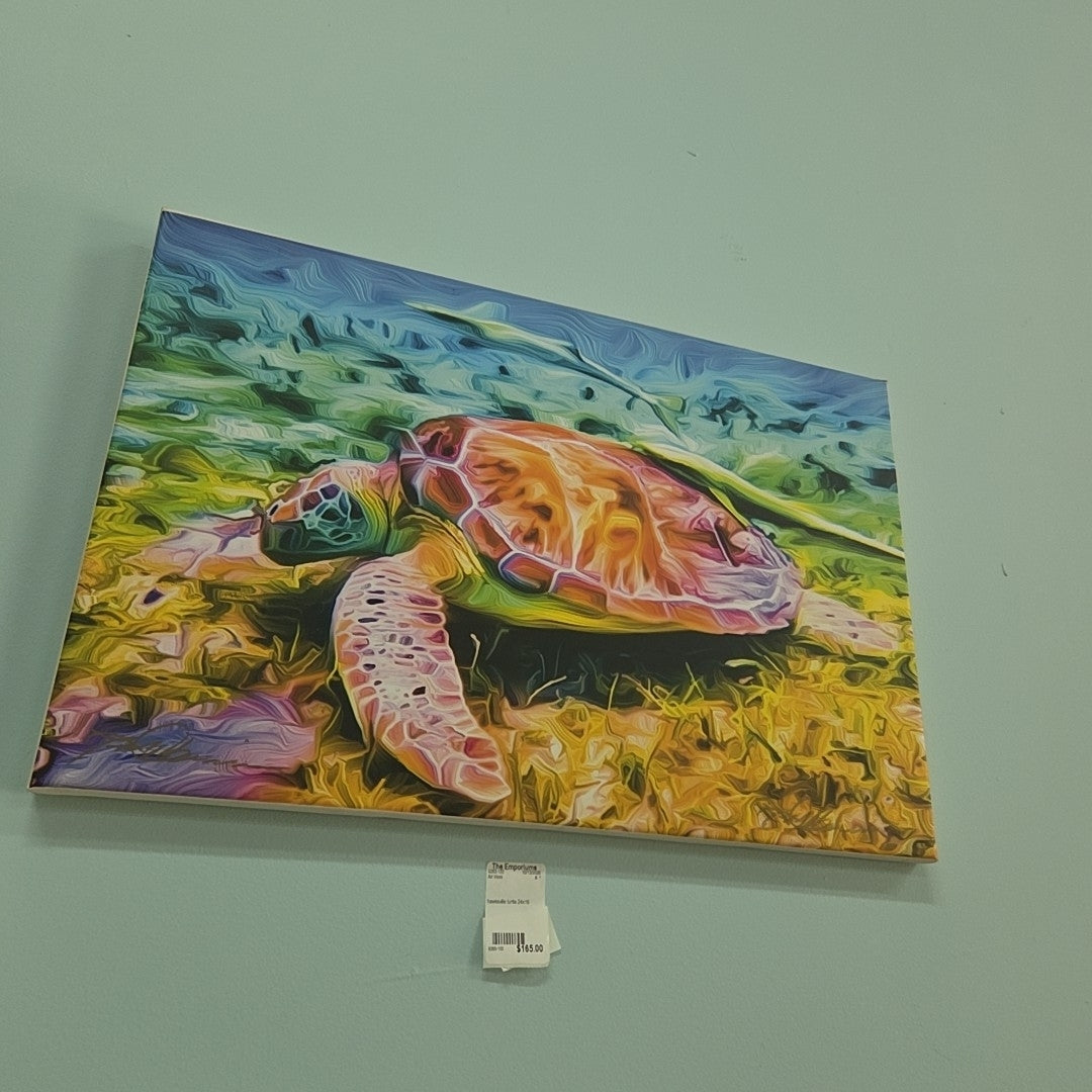 hawksville turtle 24x16