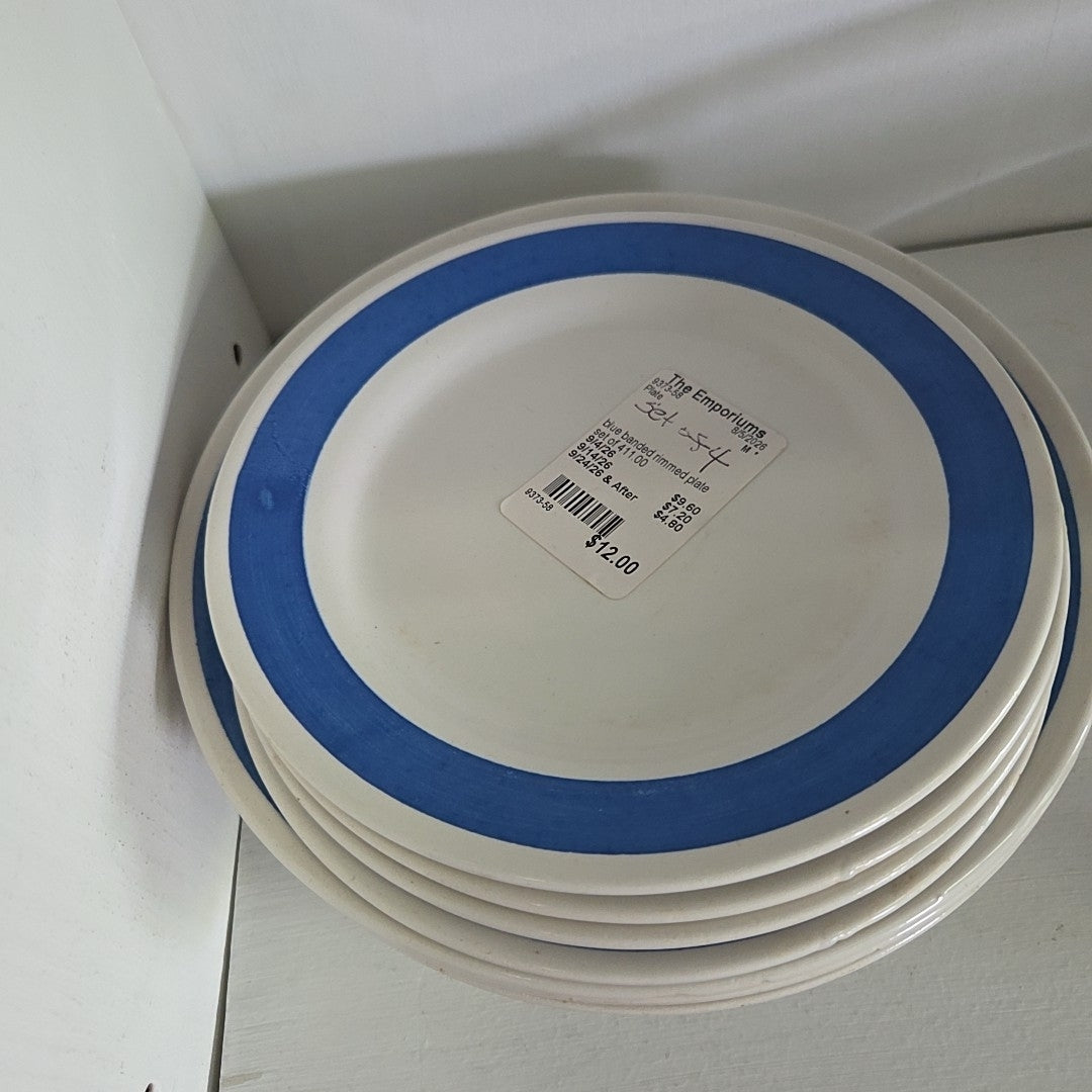 blue banded rimmed plate