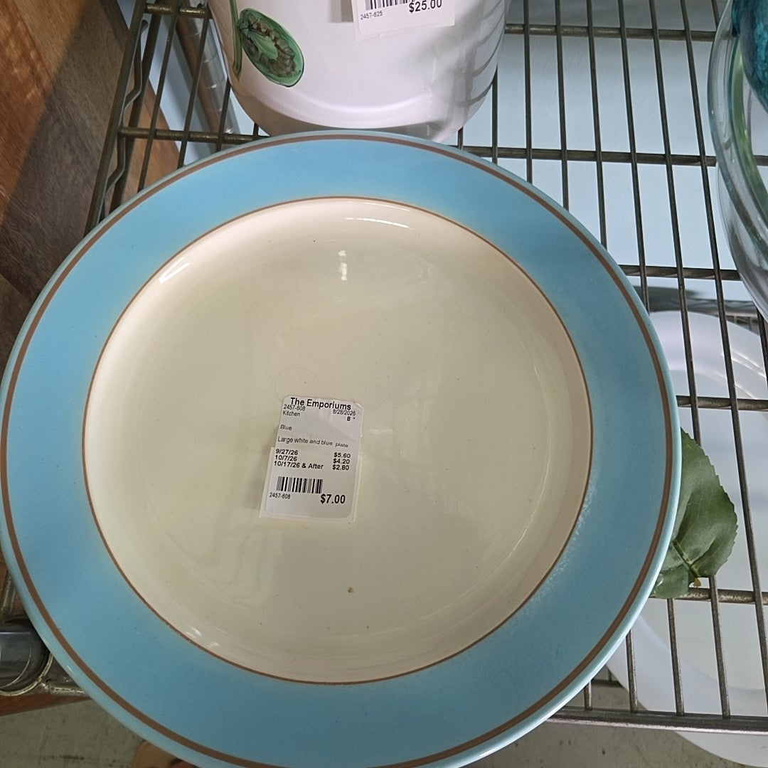 Large white and blue plate