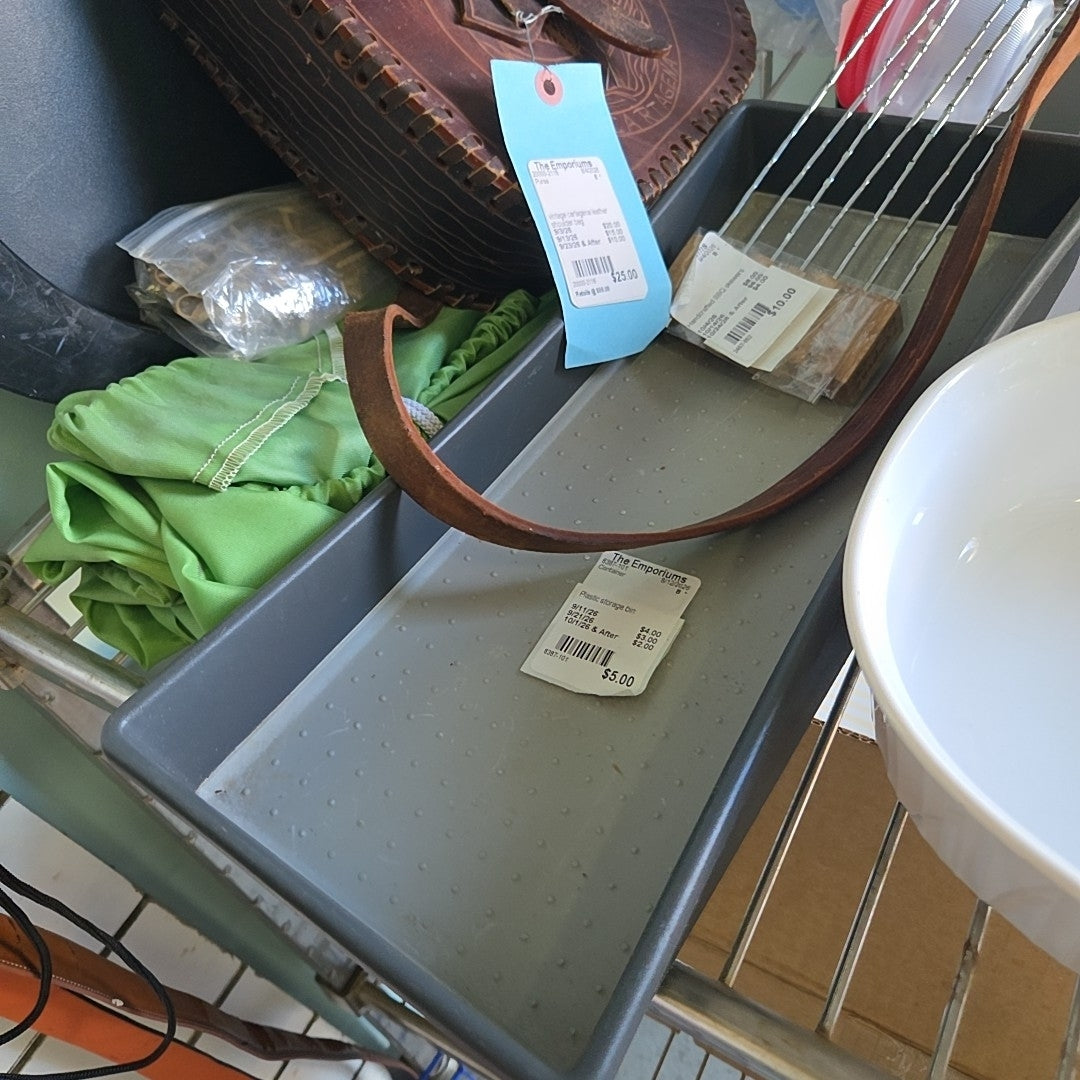 Plastic storage bin