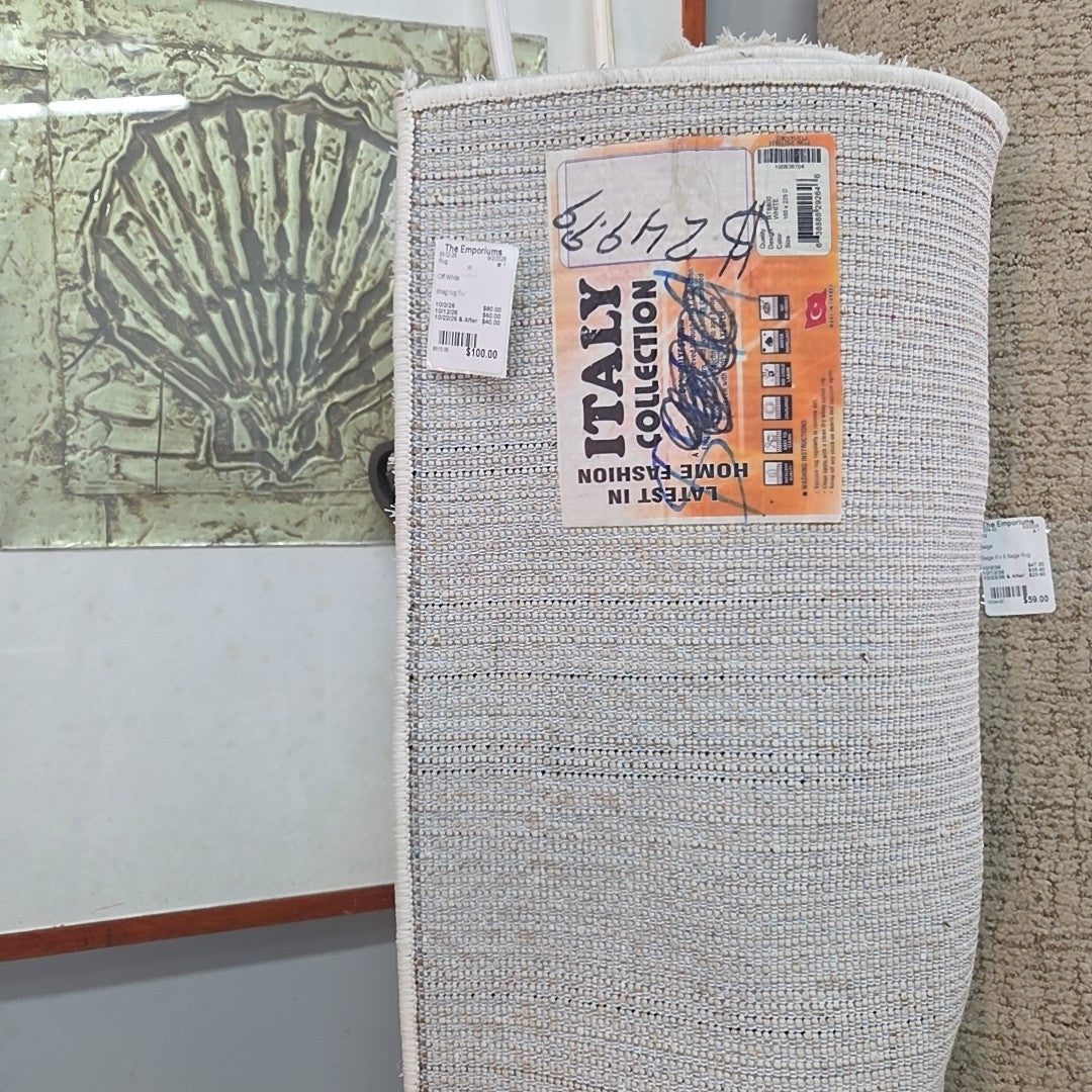 shag rug 5x7