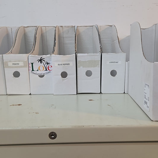 file organizer