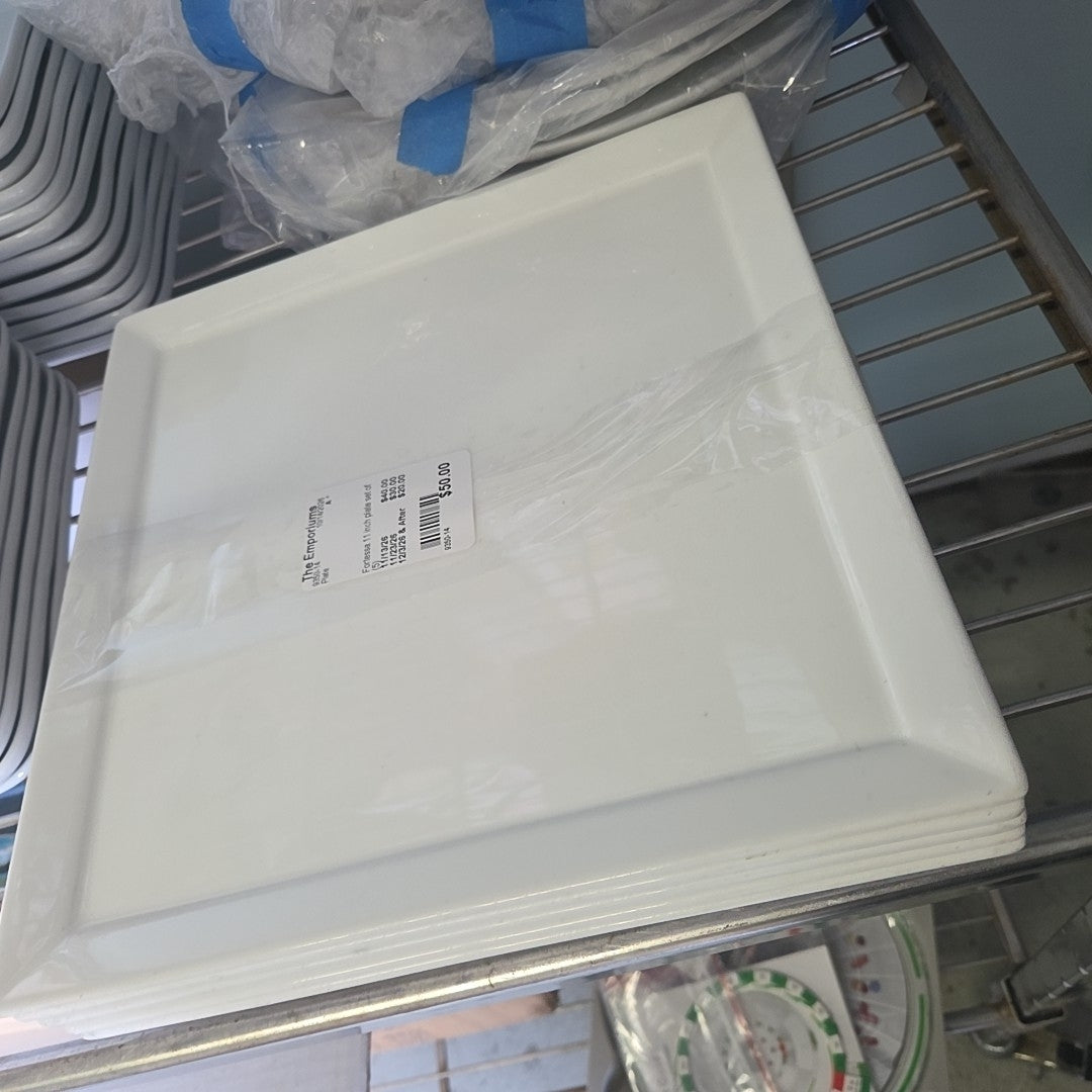 Fortessa 11 inch plate set of (5)